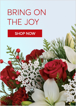 Christma Flowers Delivery - Send Christmas flowers 