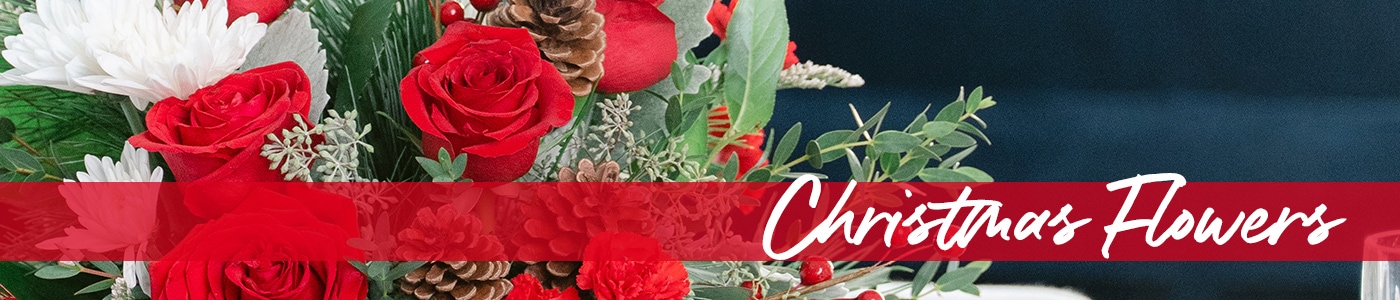 category page banner for Christmas flowers